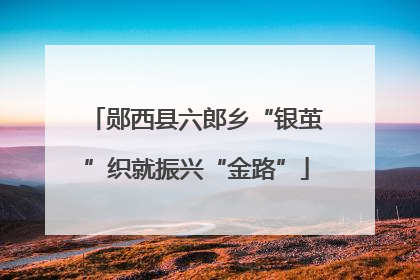 郧西县六郎乡“银茧”织就振兴“金路”