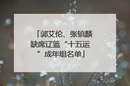 郭艾伦、张镇麟缺席辽篮“十五运”成年组名单