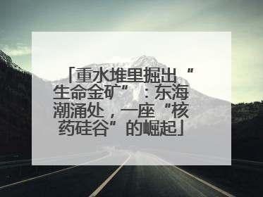 重水堆里掘出“生命金矿”：东海潮涌处，一座“核药硅谷”的崛起