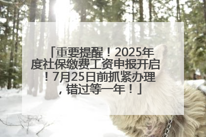 重要提醒！2025年度社保缴费工资申报开启！7月25日前抓紧办理，错过等一年！