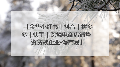 金华小红书｜抖音｜拼多多｜快手｜跨境电商店铺垫资贷款企业-漫商易