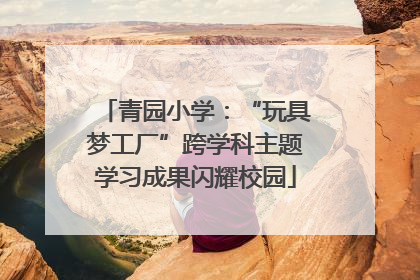 青园小学：“玩具梦工厂”跨学科主题学习成果闪耀校园