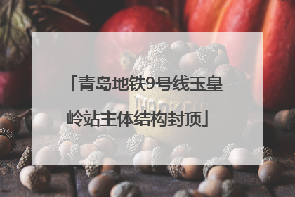 青岛地铁9号线玉皇岭站主体结构封顶