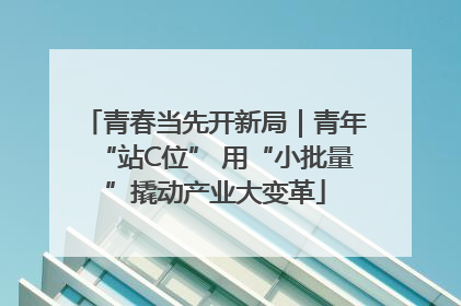 青春当先开新局｜青年“站C位” 用“小批量”撬动产业大变革