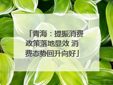 青海：提振消费政策落地显效 消费态势回升向好