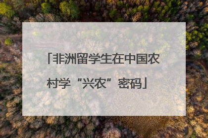 非洲留学生在中国农村学“兴农”密码