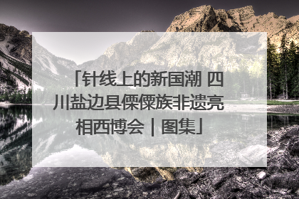 针线上的新国潮 四川盐边县傈僳族非遗亮相西博会｜图集