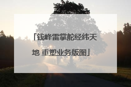 钱峰雷掌舵经纬天地 重塑业务版图