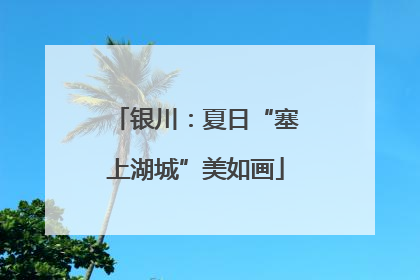 银川：夏日“塞上湖城”美如画