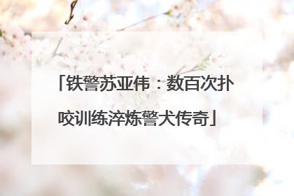 铁警苏亚伟：数百次扑咬训练淬炼警犬传奇