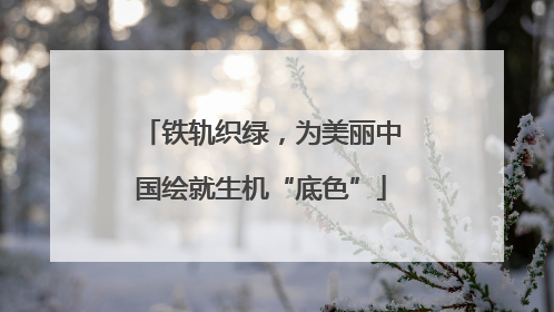 铁轨织绿，为美丽中国绘就生机“底色”