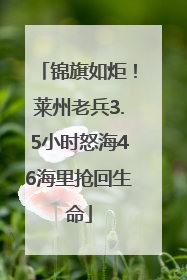 锦旗如炬！莱州老兵3.5小时怒海46海里抢回生命