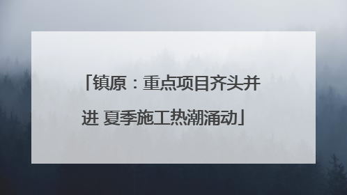 镇原：重点项目齐头并进 夏季施工热潮涌动