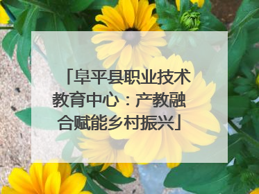 阜平县职业技术教育中心：产教融合赋能乡村振兴