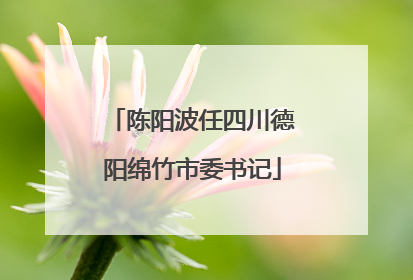 陈阳波任四川德阳绵竹市委书记