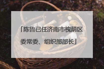 陈鲁已任济南市槐荫区委常委、组织部部长