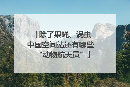 除了果蝇、涡虫 中国空间站还有哪些“动物航天员”
