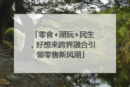 零食+潮玩+民生，好想来跨界融合引领零售新风潮