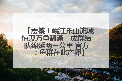 震撼！岷江乐山流域惊现万鱼翻涌，成群结队绵延两三公里 官方：鱼群在此产卵
