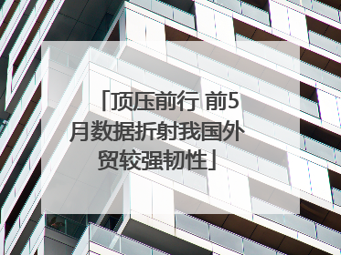 顶压前行 前5月数据折射我国外贸较强韧性