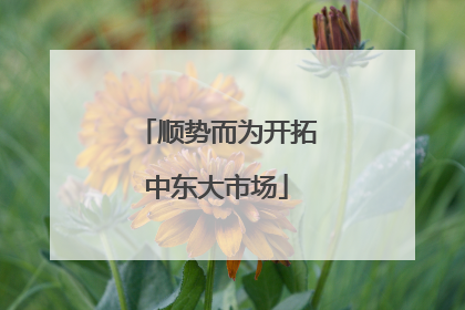 顺势而为开拓中东大市场