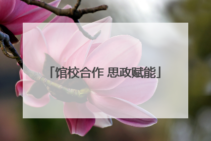 馆校合作 思政赋能