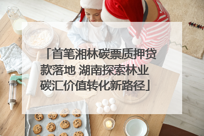 首笔湘林碳票质押贷款落地 湖南探索林业碳汇价值转化新路径