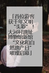 首位游客获千年文明“头彩”！大河村遗址博物馆新馆“文化和自然遗产日”璀璨启幕