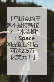 马斯克的王牌不是特斯拉？“木头姐”：SpaceX估值五年后可达2.5万亿美元！