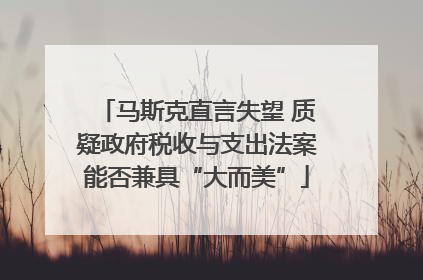 马斯克直言失望 质疑政府税收与支出法案能否兼具“大而美”