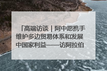 高端访谈｜阿中愿携手维护多边贸易体系和发展中国家利益——访阿拉伯议会议长亚马希