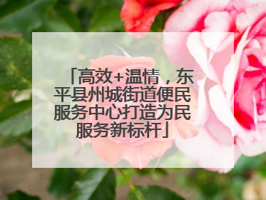 高效+温情，东平县州城街道便民服务中心打造为民服务新标杆