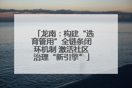 龙南：构建“选育管用”全链条闭环机制 激活社区治理“新引擎”