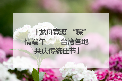 龙舟竞渡 “粽”情端午——台湾各地共庆传统佳节
