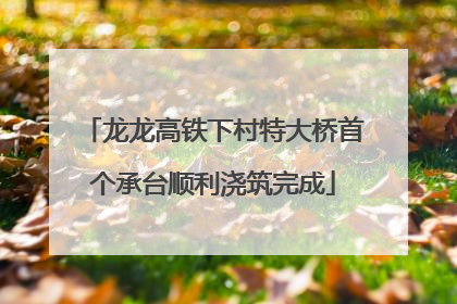 龙龙高铁下村特大桥首个承台顺利浇筑完成
