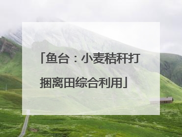 鱼台：小麦秸秆打捆离田综合利用