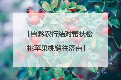 鲁黔农行结对帮扶松桃苹果桃销往济南