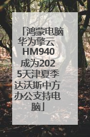 鸿蒙电脑华为擎云 HM940成为2025天津夏季达沃斯中方办公支持电脑