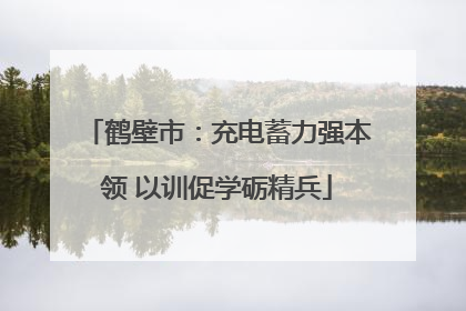 鹤壁市：充电蓄力强本领 以训促学砺精兵