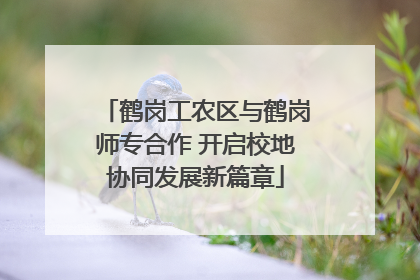 鹤岗工农区与鹤岗师专合作 开启校地协同发展新篇章