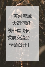 黄河流域、大运河沿线非遗协同发展交流分享会召开