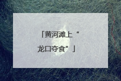 黄河滩上“龙口夺食”