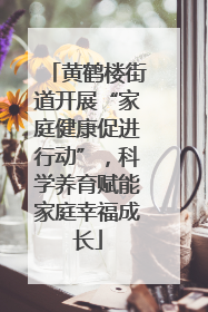 黄鹤楼街道开展“家庭健康促进行动”，科学养育赋能家庭幸福成长