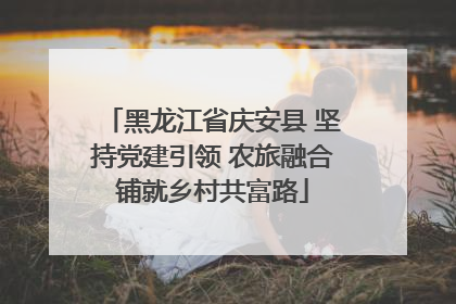 黑龙江省庆安县 坚持党建引领 农旅融合铺就乡村共富路