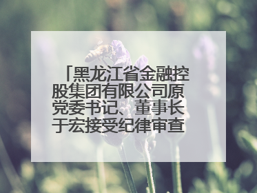 黑龙江省金融控股集团有限公司原党委书记、董事长于宏接受纪律审查和监察调查