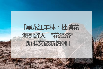 黑龙江丰林：杜鹃花海引游人 “花经济”助推文旅新热潮