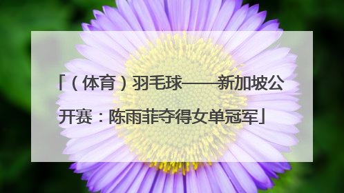 （体育）羽毛球——新加坡公开赛：陈雨菲夺得女单冠军