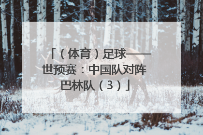 （体育）足球——世预赛：中国队对阵巴林队（3）