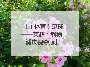 （体育）足球——英超：利物浦庆祝夺冠