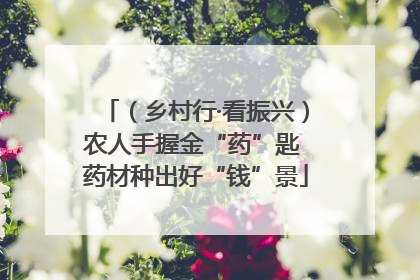 （乡村行·看振兴）农人手握金“药”匙 药材种出好“钱”景
